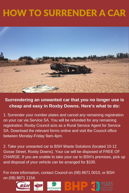 How to surrender a car Surrendering a car