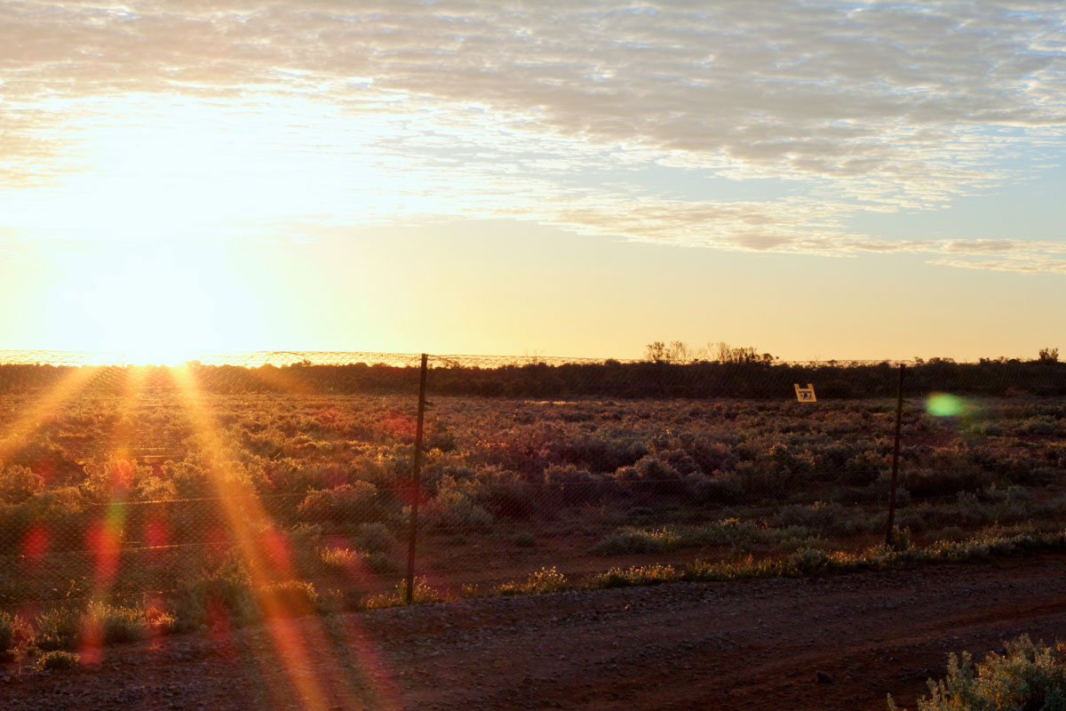 Scenery Sunset at Arid Recovery by Kerrie Thomas Scenery Sunset at Arid Recovery by Kerrie Thomas