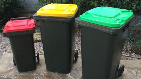 which bin