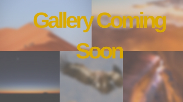 Gallery Coming Soon 2017 Gallery Coming Soon 2017