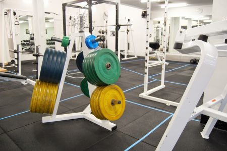 Gym Weights