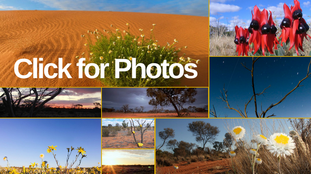 Scenery Collage Gallery Scenery Collage Gallery